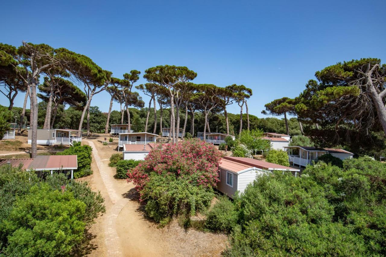 Parco Della Gallinara Lido dei Pini Bagian luar foto