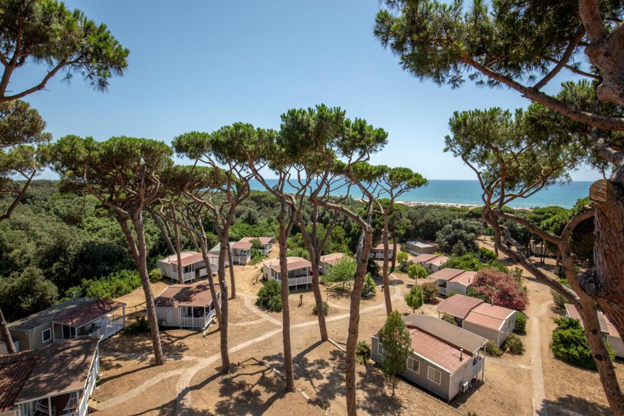 Parco Della Gallinara Lido dei Pini Bagian luar foto